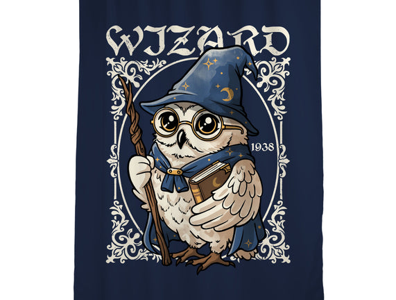 Owl Wizard Merlin