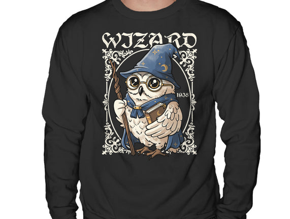 Owl Wizard Merlin