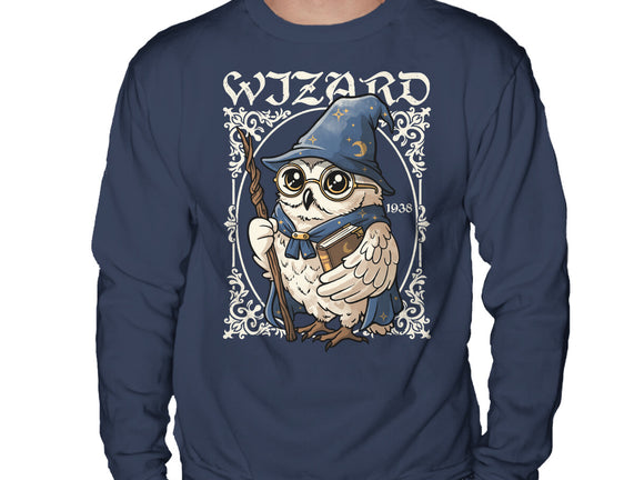 Owl Wizard Merlin