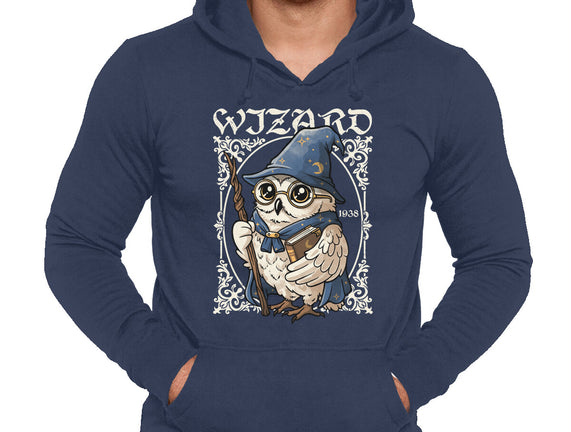 Owl Wizard Merlin