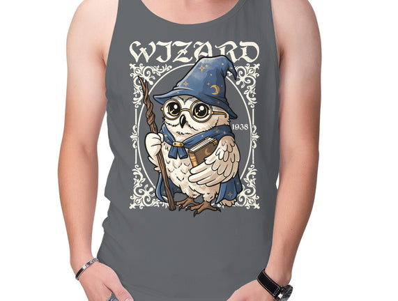 Owl Wizard Merlin