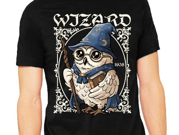 Owl Wizard Merlin