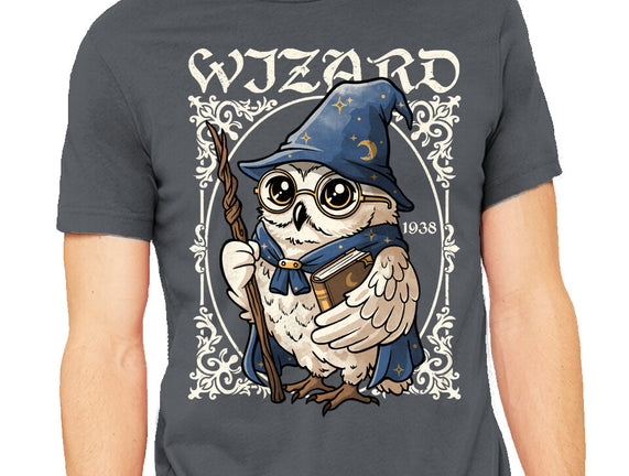 Owl Wizard Merlin