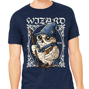 Owl Wizard Merlin
