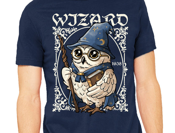 Owl Wizard Merlin