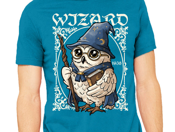 Owl Wizard Merlin
