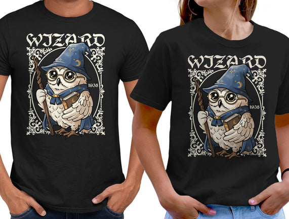 Owl Wizard Merlin