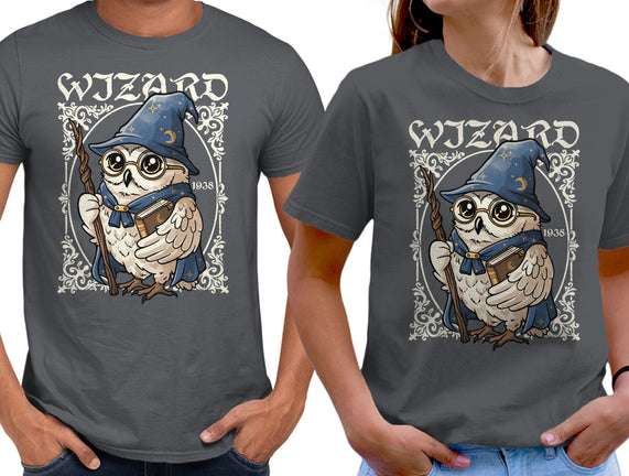 Owl Wizard Merlin