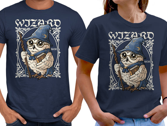 Owl Wizard Merlin