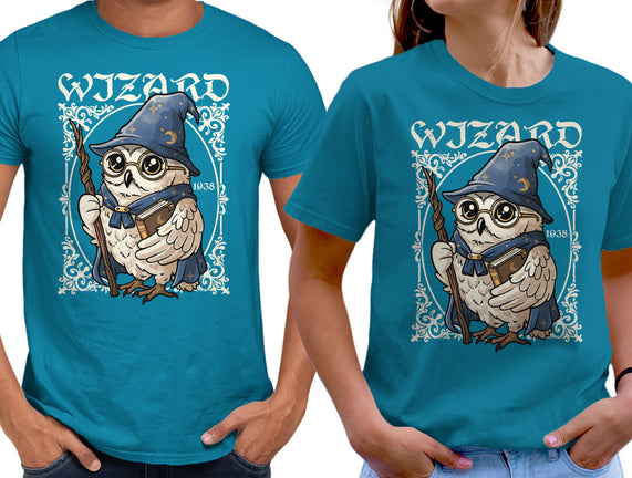 Owl Wizard Merlin