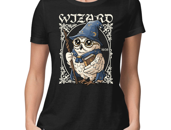 Owl Wizard Merlin