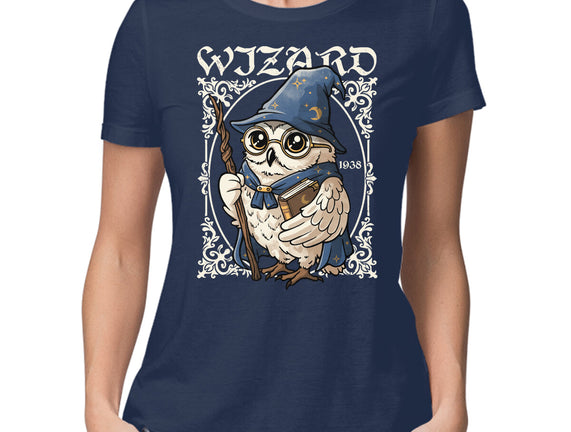 Owl Wizard Merlin