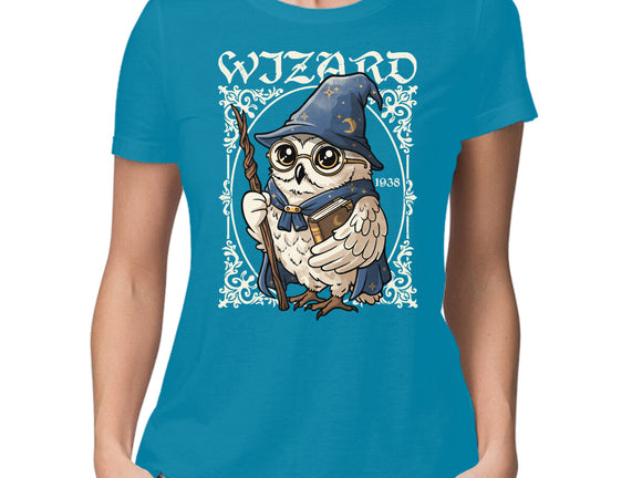 Owl Wizard Merlin
