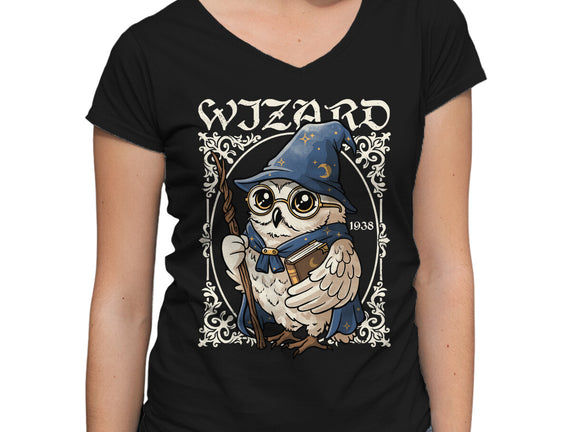 Owl Wizard Merlin