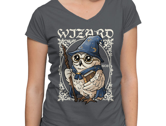 Owl Wizard Merlin