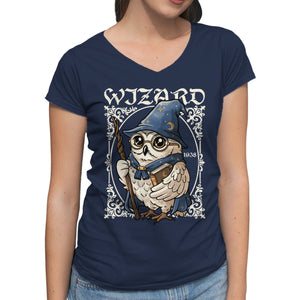 Owl Wizard Merlin