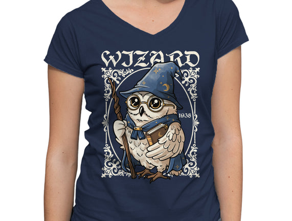 Owl Wizard Merlin