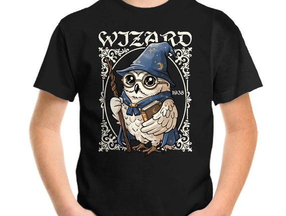 Owl Wizard Merlin