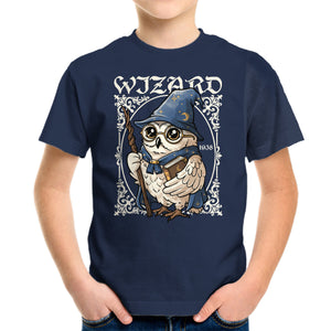 Owl Wizard Merlin