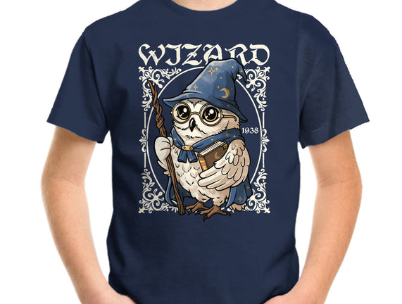 Owl Wizard Merlin