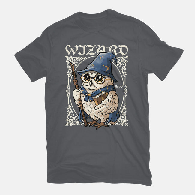 Owl Wizard Merlin-Womens-Fitted-Tee-NemiMakeit