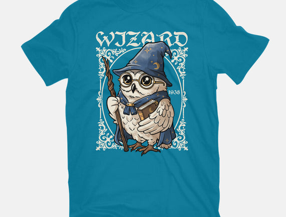 Owl Wizard Merlin