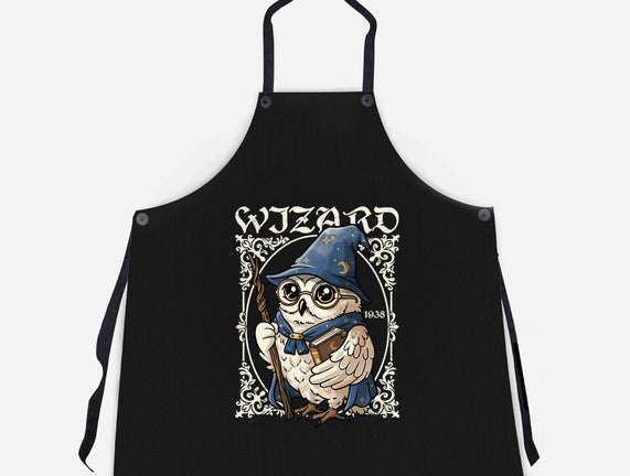 Owl Wizard Merlin