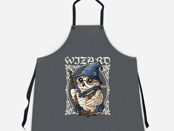 Owl Wizard Merlin