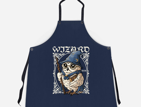 Owl Wizard Merlin