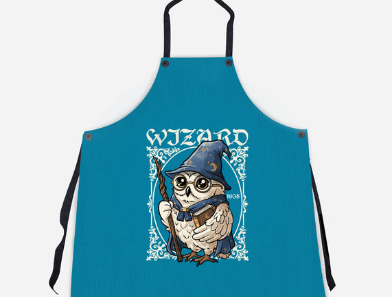 Owl Wizard Merlin