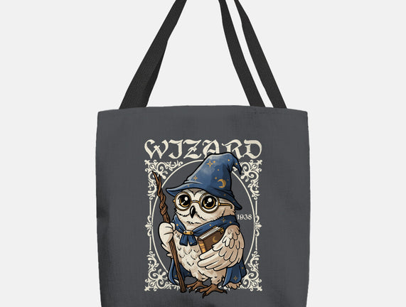 Owl Wizard Merlin