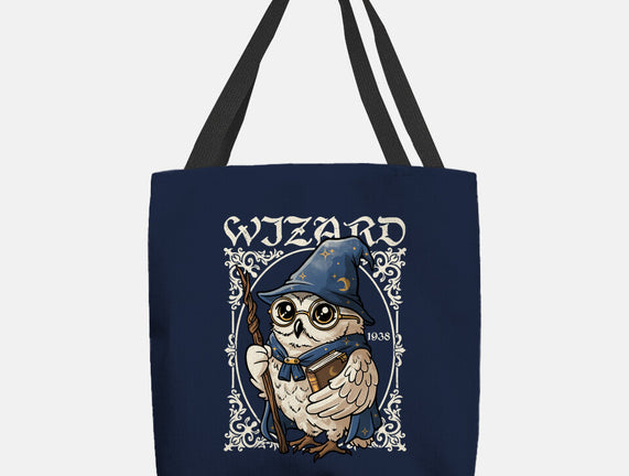 Owl Wizard Merlin