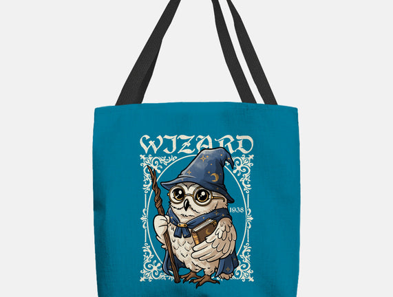 Owl Wizard Merlin