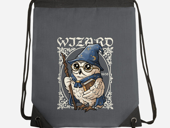 Owl Wizard Merlin