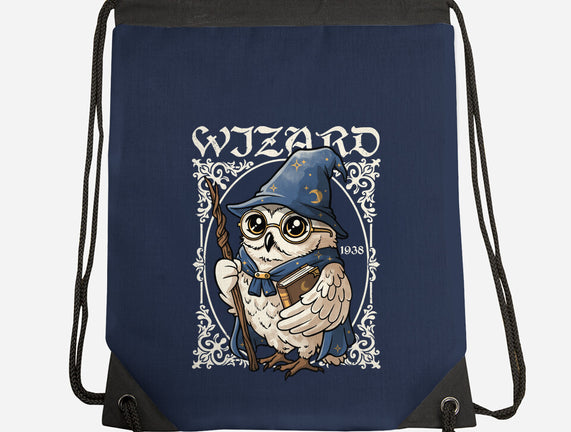 Owl Wizard Merlin