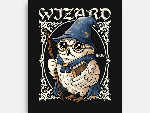 Owl Wizard Merlin