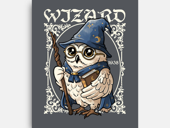 Owl Wizard Merlin