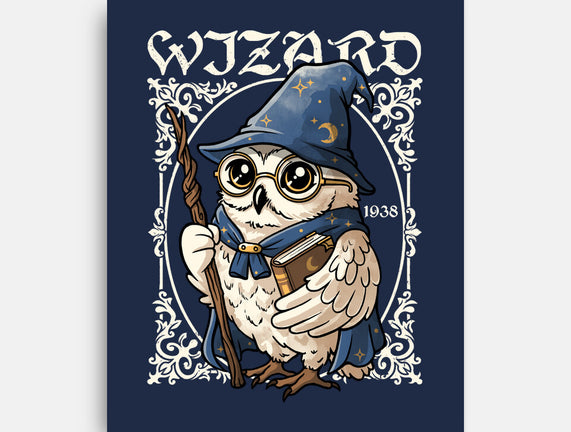 Owl Wizard Merlin