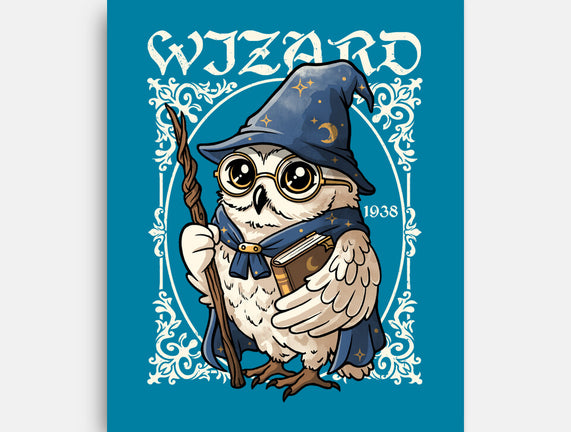 Owl Wizard Merlin