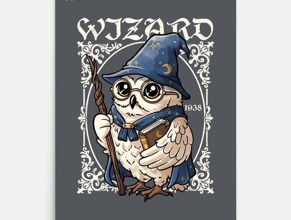 Owl Wizard Merlin