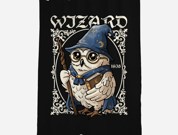 Owl Wizard Merlin
