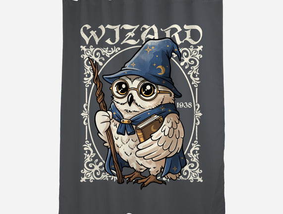 Owl Wizard Merlin