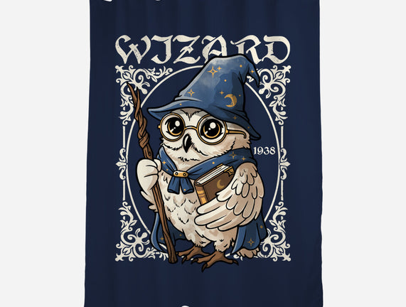 Owl Wizard Merlin