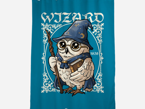 Owl Wizard Merlin