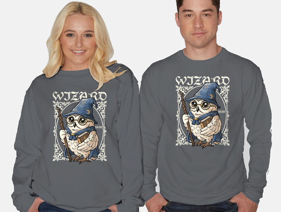 Owl Wizard Merlin