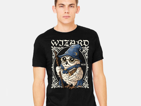 Owl Wizard Merlin