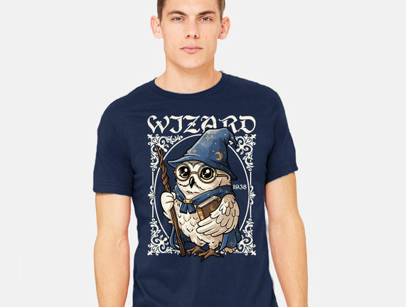 Owl Wizard Merlin