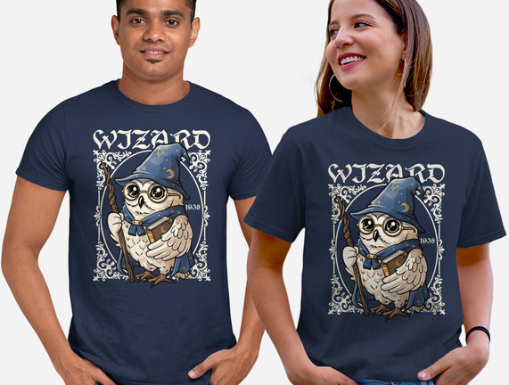 Owl Wizard Merlin