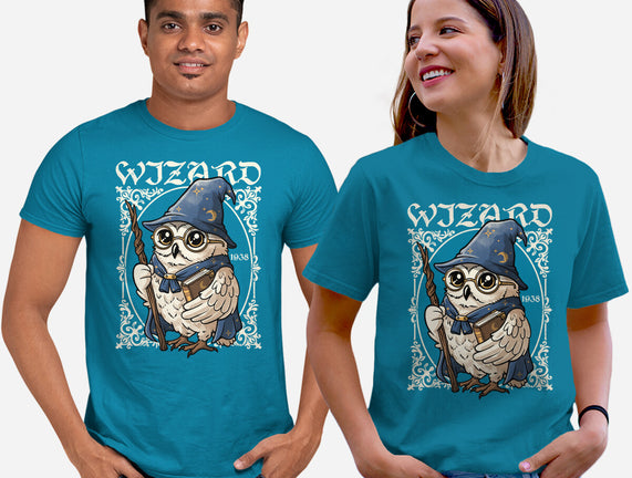 Owl Wizard Merlin