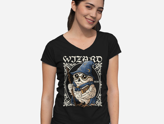 Owl Wizard Merlin